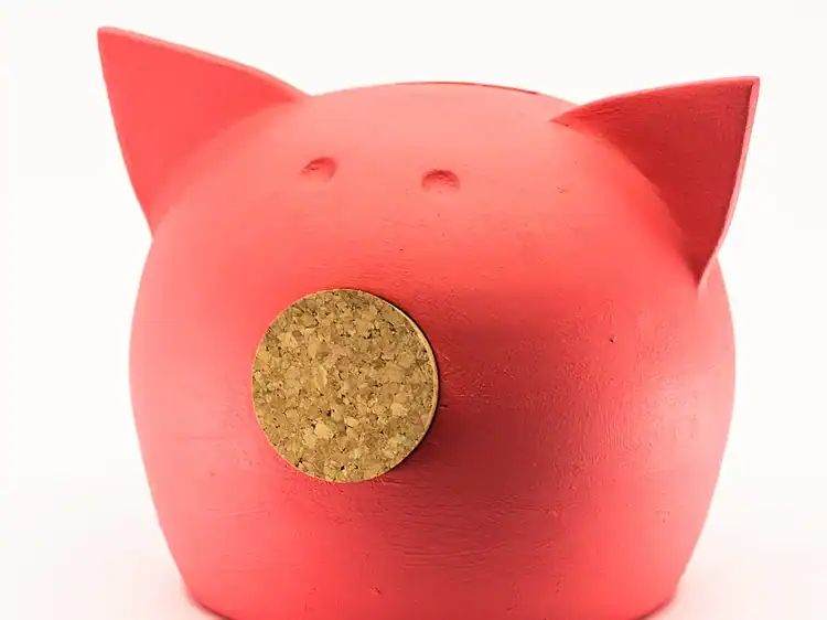 1. Stație de reciclare pentru economisirea banilor, formă de purceluș roz cu urechi.