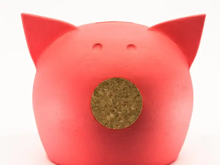 1. Rândul 1: Borcan de porcușor pentru economisire, decorativ și practic pentru copii.