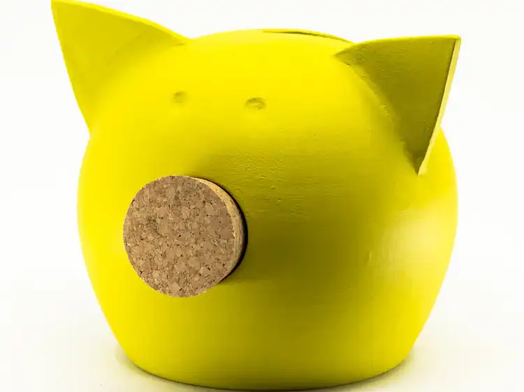 1. Jucarie de plus formata ca o porca galbena din lemn si dop din plută.