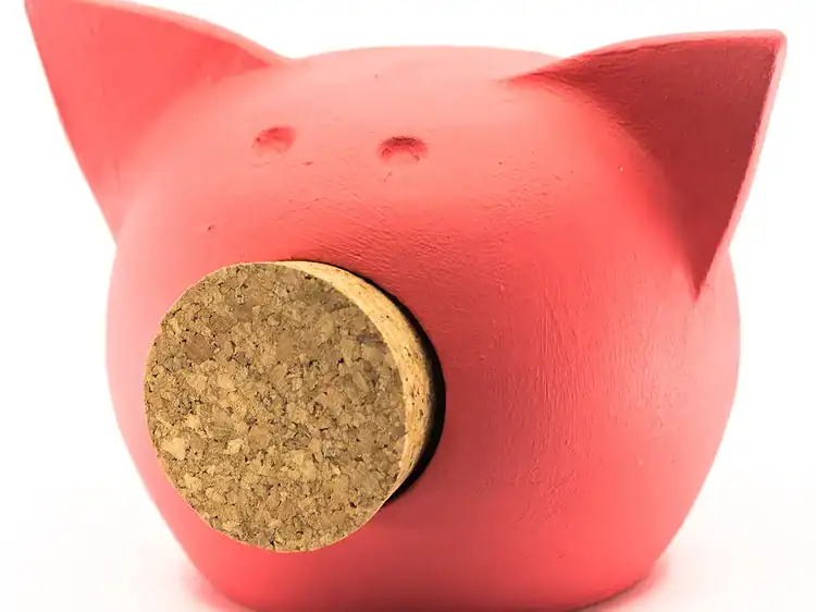 Porc de pluș roz în formă de porcușor, cu dop de plută pentru monede. Jucărie drăguță pentru copii și spectaculoasă.