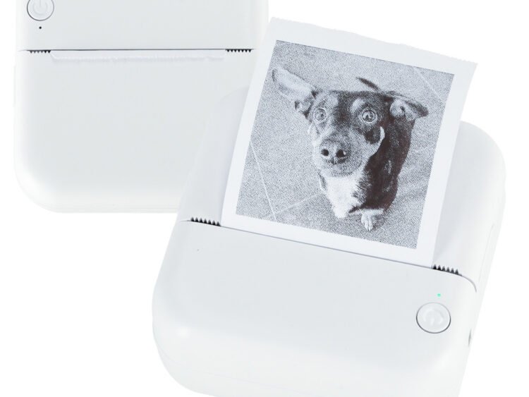 Convertor poze cu disc.