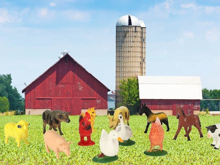 Jucarii de lemn pentru copii, animale de ferma, set educativ, jucarii din lemn pentru gradinita, jucarii ecologice.