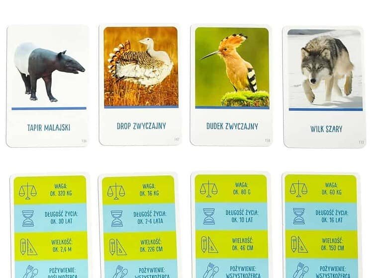 jetoane și un pion.