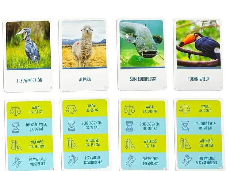 jetoane și un pion.