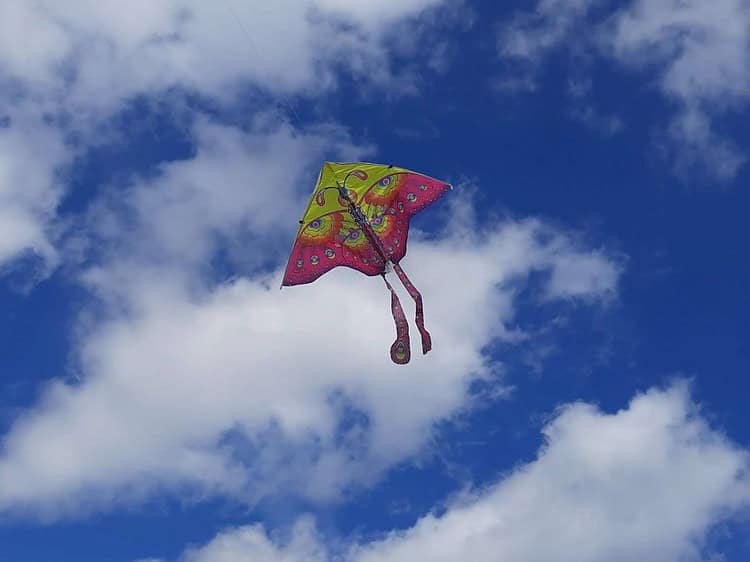 Zmeură de jucarie pentru copii, zboară pe cer, perfectă pentru distractie și jocuri în aer liber.