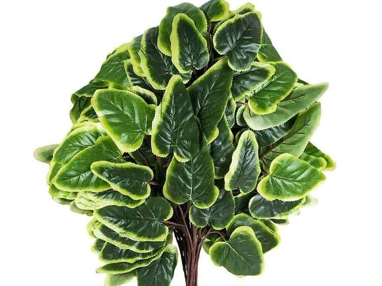 Frunze artificiale set 10 - <p><strong>Frunze artificiale set 10<br /></strong></p>