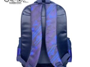 - Ghiozdanul are: 2 compartimente