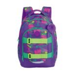 Ghiozdan anatomic compartiment laptop