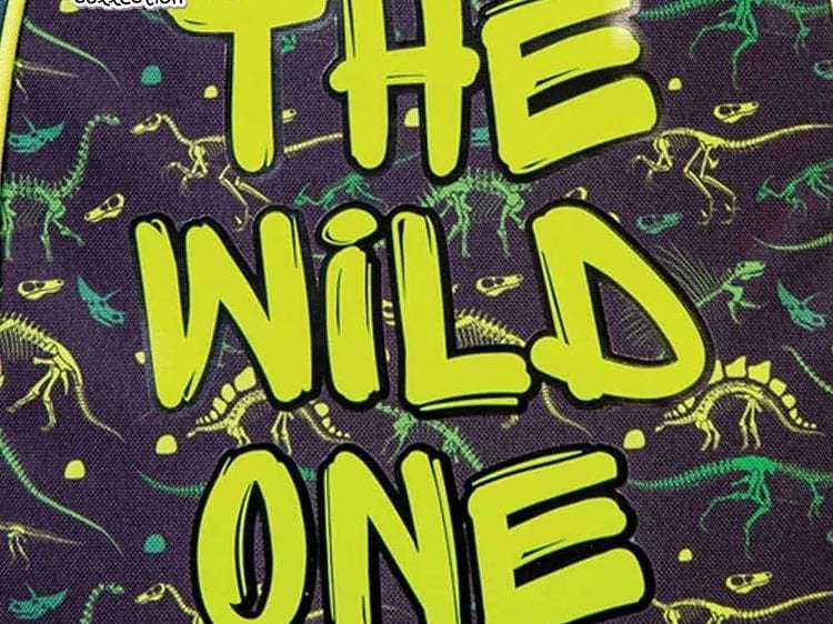 - Ghiozdanul are: bretele ajustabile