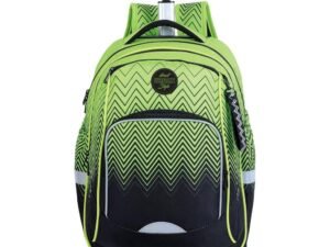 Ghiozdan trolley premium