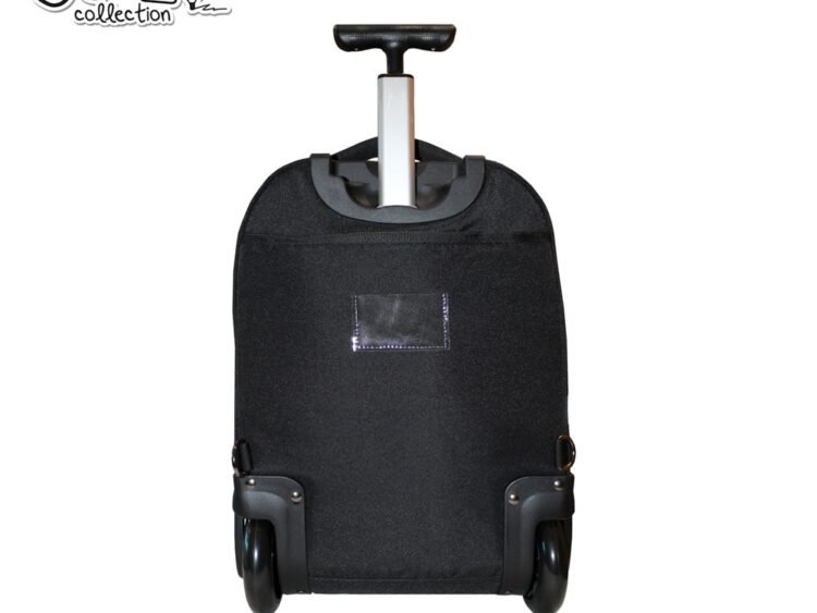 compartiment pentru laptop