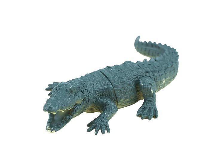 - Crocodilul este prevazut cu mecanism chitaitor.