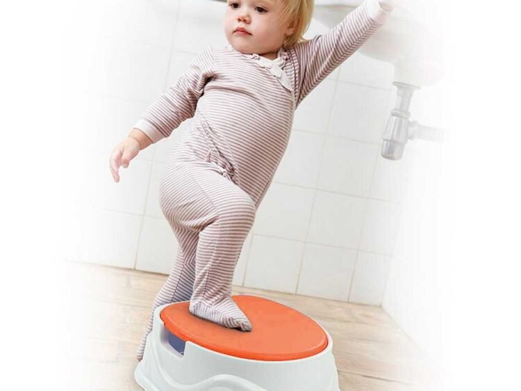 adaptator pentru vasul WC si scaunel.