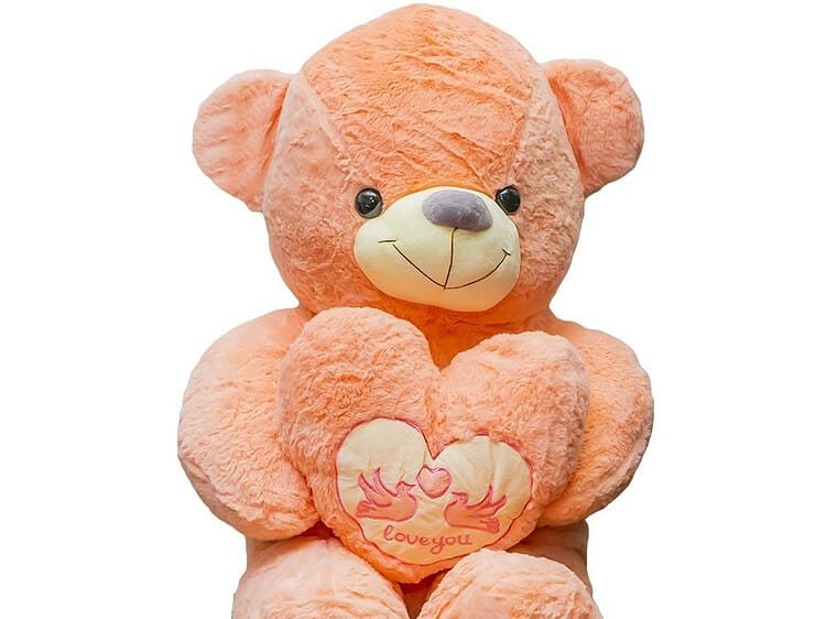 PRODUSUL LIVRAT PUTAND DIFERI DE ACEASTA IN CEEA CE PRIVESTE MODELUL