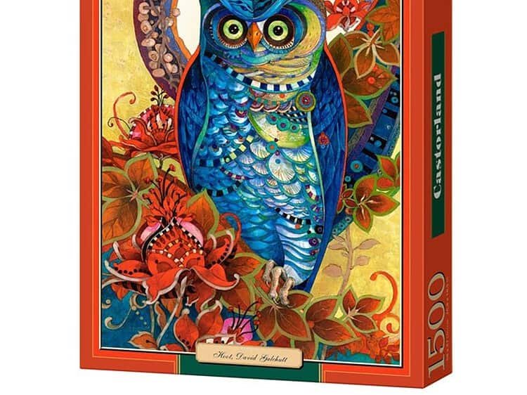 Rama puzzle cu bufniță colorată pentru copii și colecție educativă.