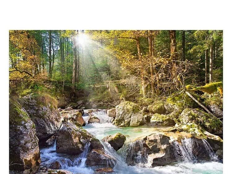 - Varsta recomandata: 9+ ani.