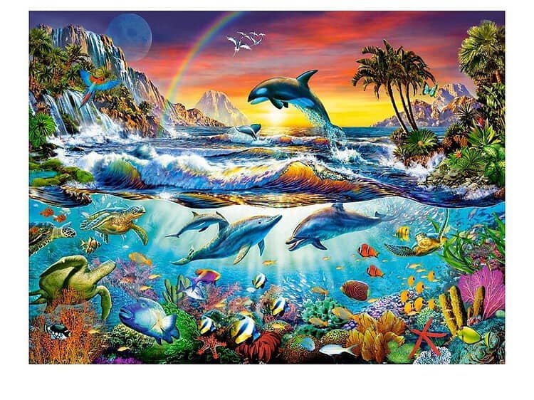 Colorful dolphin and underwater scene, children's bedroom decor, vibrant aquatic mural.