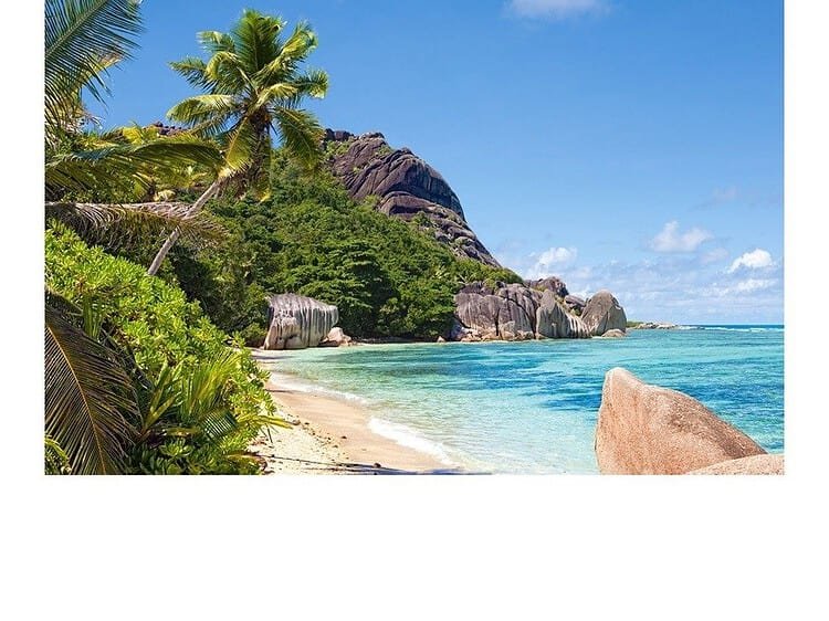 - Varsta: peste 9 ani.