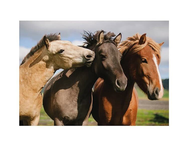 - Piesele sunt realizate din carton.