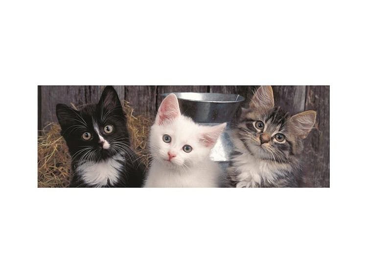 dupa ce imaginea finita o fixati prin lipire.