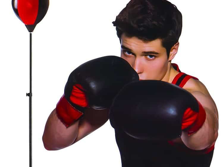 H max: 109 cm - Sac box cu suport metalic + manusi