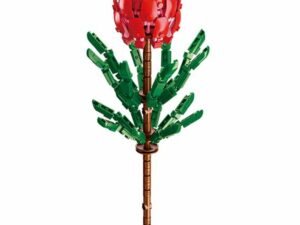 11 vor fi utilizate pentru asamblarea vazei si 240 pentru contruirea unei fori printesa - Tibouchina Urvilleana.