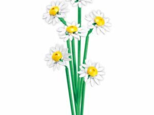 11 vor fi utilizate pentru asamblarea vazei si 244 pentru contruirea unui buchet de margarete.