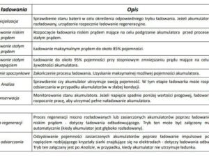 Ładowanie zabawek na placu zabaw, dzieci się bawia w piaskownicy, radosne i kolorowe placu zabaw na świeżym powietrzu.