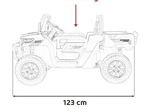 1. Jucarie Casuta pentru Copii, Vehicul Electric cu Greutate Max 50kg.
