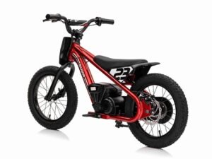 Bicicleta electrică pentru copii, modelele sportive cu design modern.