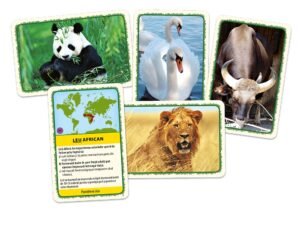 Tactic - BLACKFIRE - - Jocul contine: 200 de carti cu intrebari