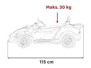 1. Leagăn de joacă pentru copii cu capacitate maximă 30 kg.