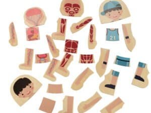 1. Jucarie set puzzle cu piese pentru construirea corpului uman pentru copii.