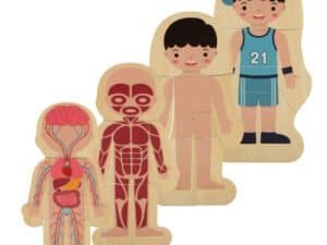 1. Planșetă educațională cu corpul uman pentru copii, anatomie și învățare ludică.