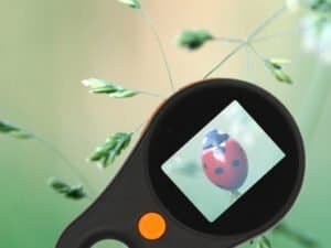 1. Jucărie pentru copii inspirată de natură, cu imagine de fluture roșu și negru pe ecranul telefonului.